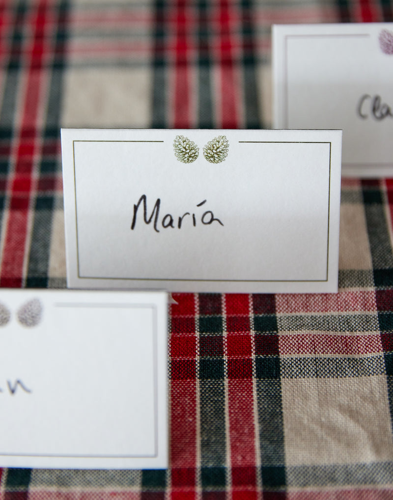 Place card piñas