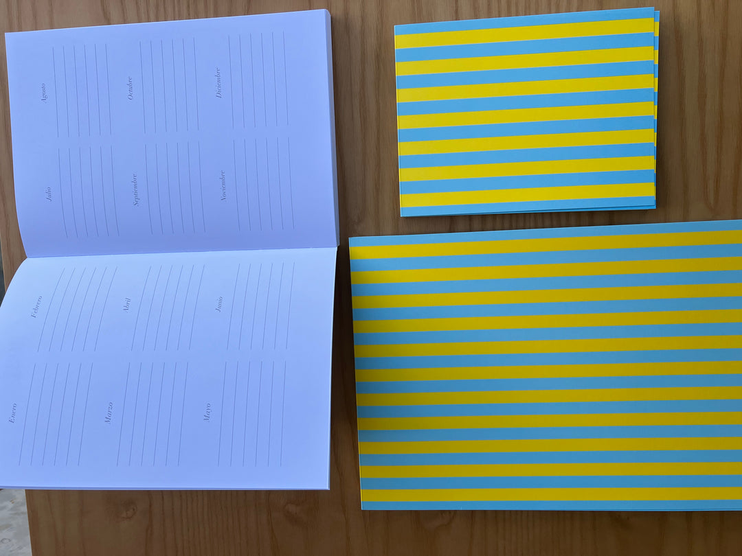 Kit Organización Total — Lemon blue