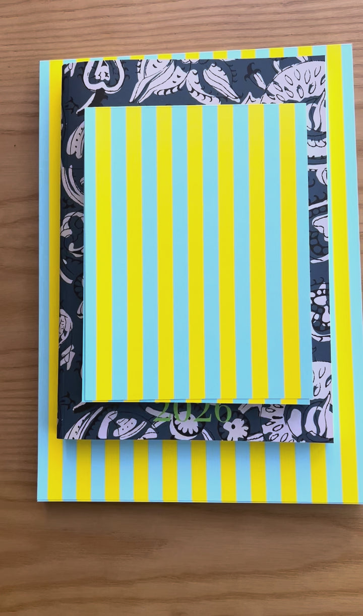 Kit Organización Total — Lemon blue